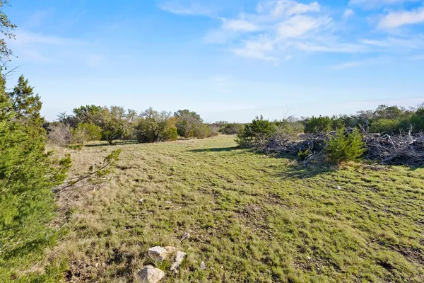 a view of a field of grass and trees