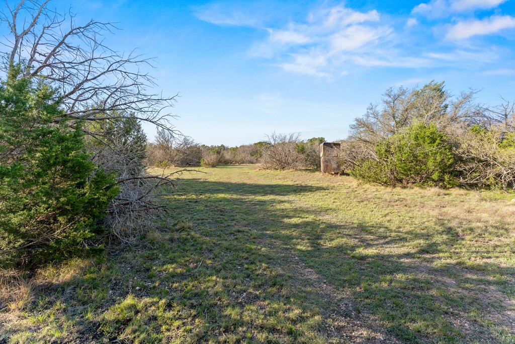 Lot 30 Sd 74230 Rocksprings, TX 78880 - Photo 8 of 15 a view of ocean view with large trees