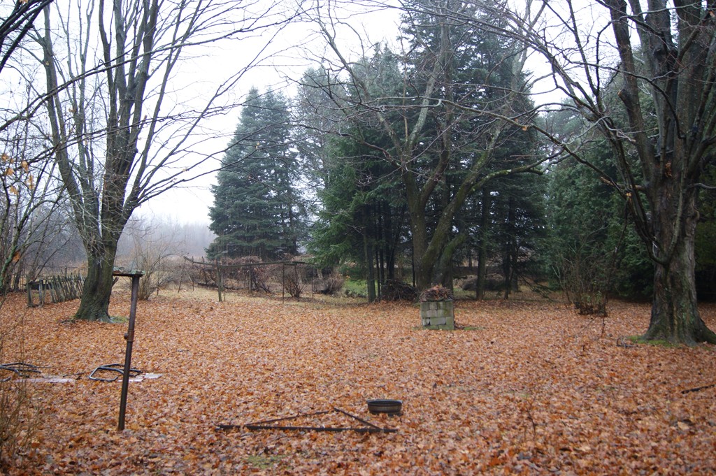 141 Bay Road Hadley, MA 01035 - Photo 3 of 4 Gallery Image 3