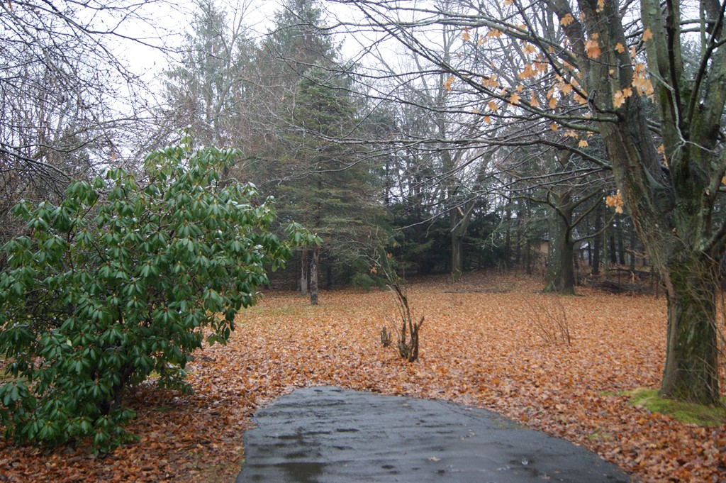 141 Bay Road Hadley, MA 01035 - Photo 4 of 4 Gallery Image 4