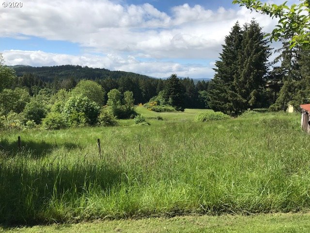 6990 Northwest Canyonview Road Gaston, OR 97119 - Photo 31 of 32 a view of a lush green forest with lots of trees