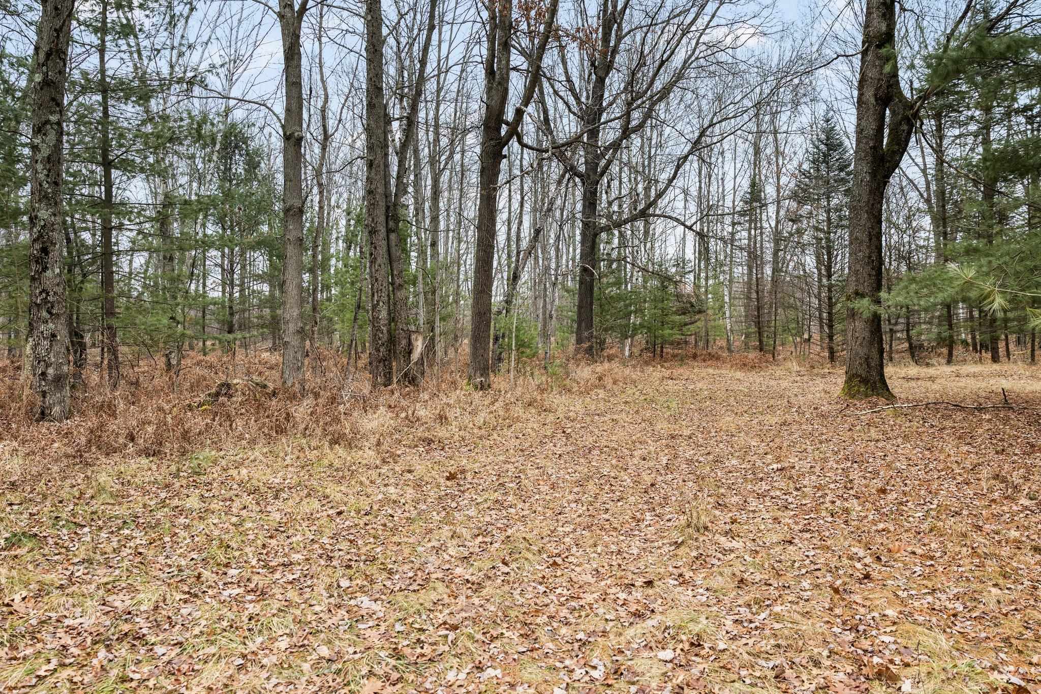 4615 East Sugar River Road Alger, MI 48610 - Photo 19 of 69