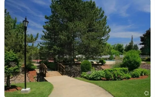 a picture of trees and outdoor space