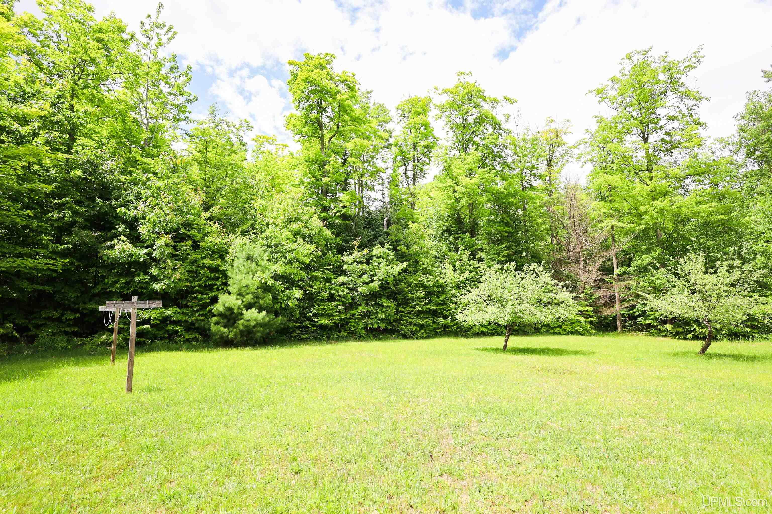 116 North Carlshend Road Skandia, MI 49885 - Photo 40 of 45