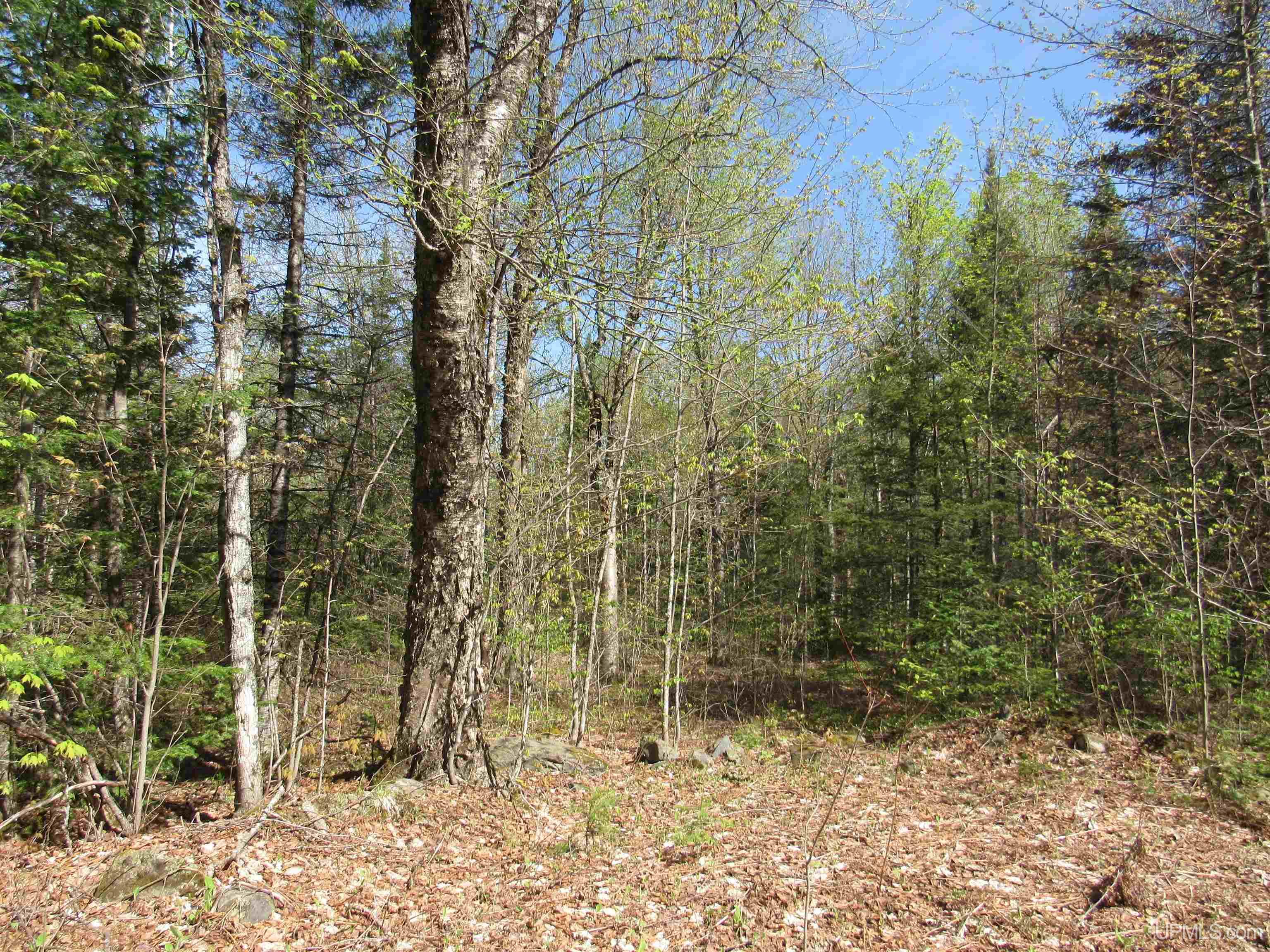 Tbd Us 141 Road, Unit LUKES ROAD Amasa, MI 49903 - Photo 3 of 22