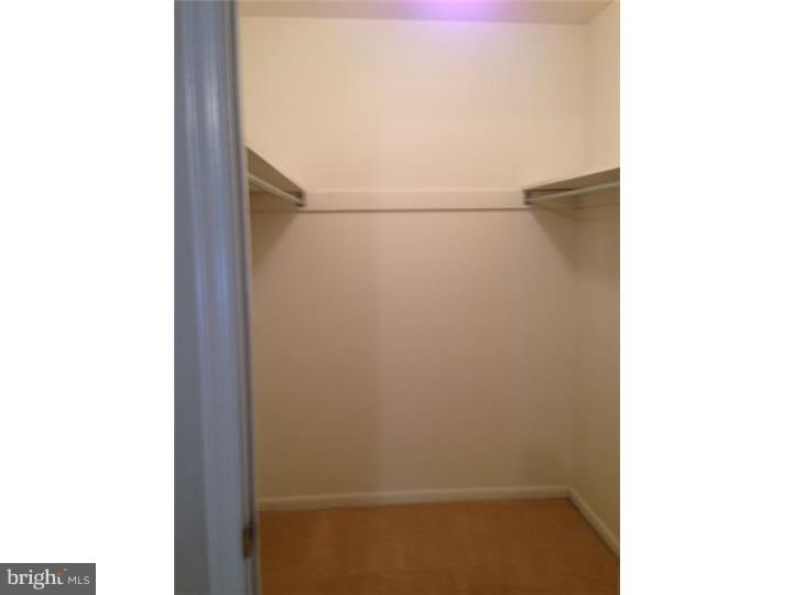 133 Valley Stream Lane Chesterbrook, PA 19087 - Photo 15 of 15 Walk-in Closet