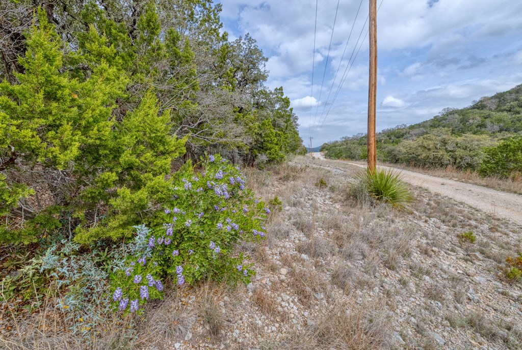 430 Frio Canyon Loop Concan, TX 78838 - Photo 2 of 55