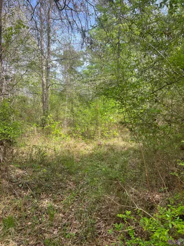 $129,500 | Tbd G-2 Idlewild Road, Clinton, LA 70722