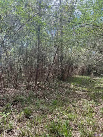 $129,500 | Tbd G-2 Idlewild Road, Clinton, LA 70722