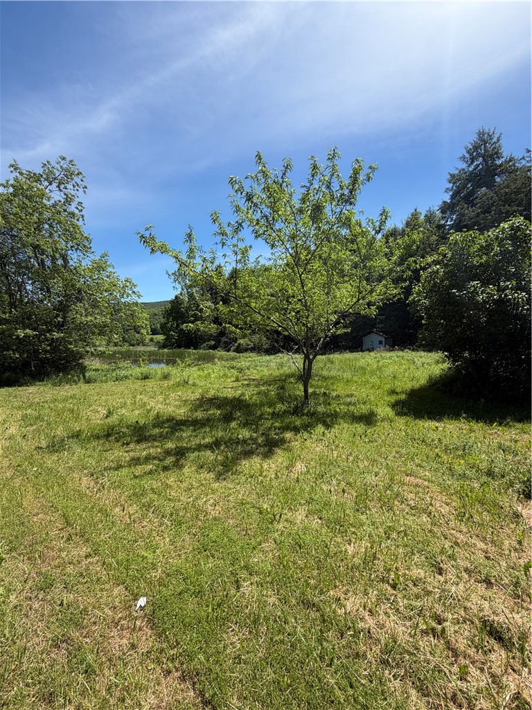 548 Shew Hollow Road Gilboa, NY 12167 - Photo 14 of 17