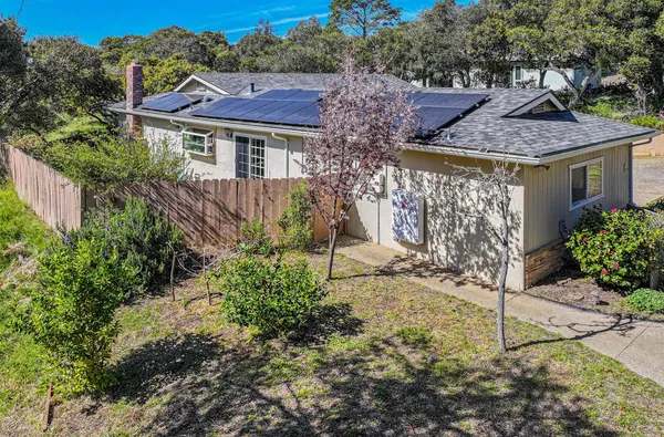 a house that has a tree in front of it