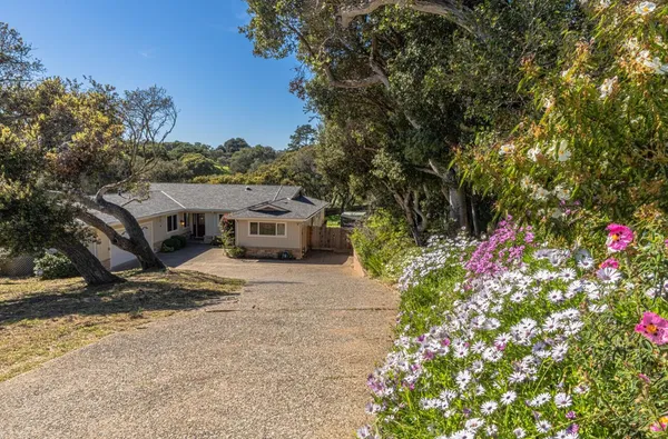 a view of house with outdoor space and garden