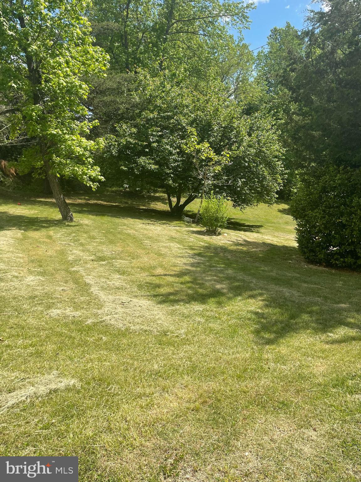 225 Mason Road Prince Frederick, MD 20678 - Photo 21 of 23 Right front yard