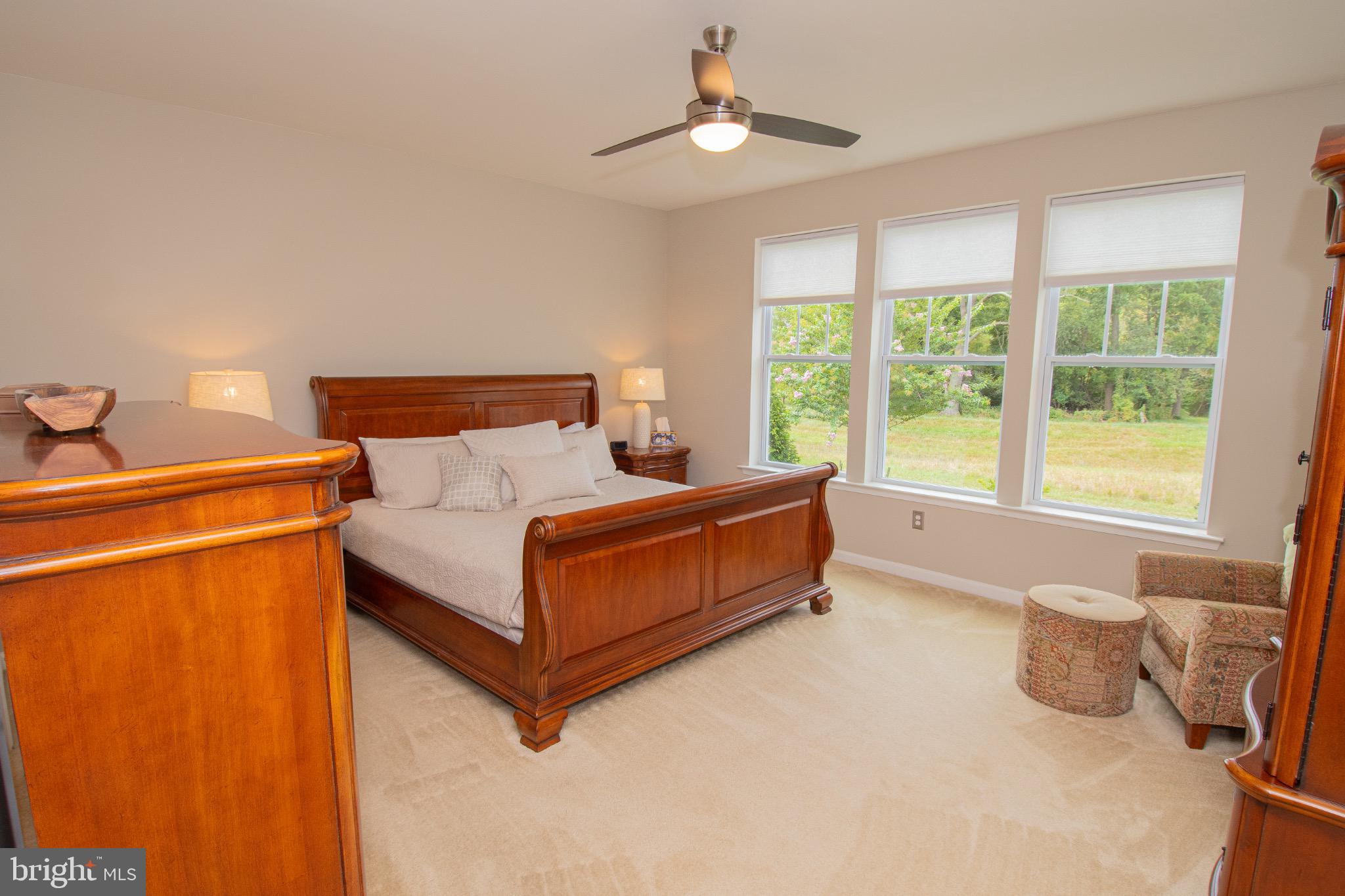 650 Vivaldi Drive Middletown, DE 19709 - Photo 18 of 36 Serene bedroom with natural light and views.