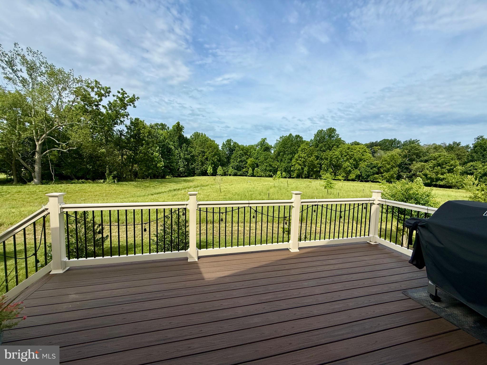650 Vivaldi Drive Middletown, DE 19709 - Photo 30 of 36