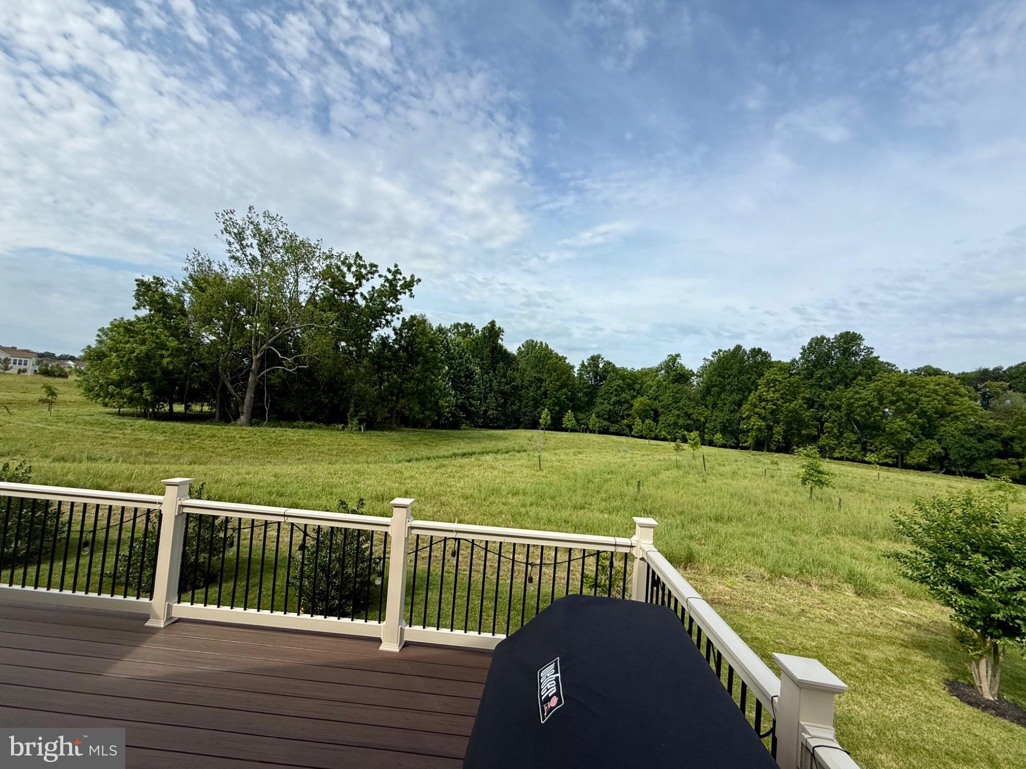 650 Vivaldi Drive Middletown, DE 19709 - Photo 31 of 36