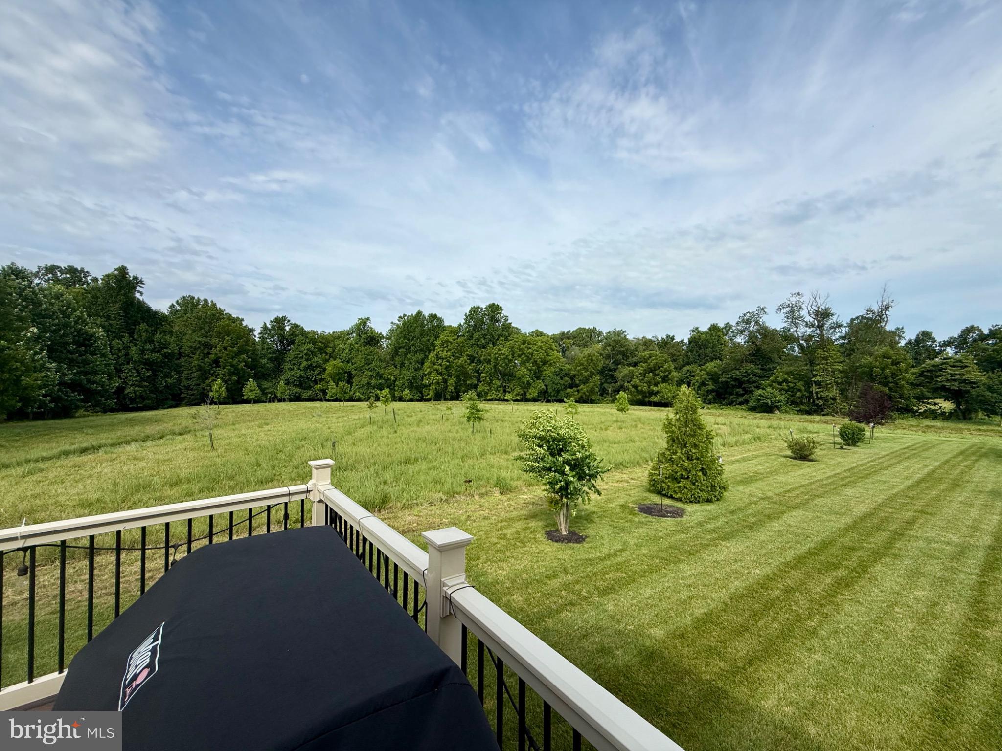 650 Vivaldi Drive Middletown, DE 19709 - Photo 32 of 36