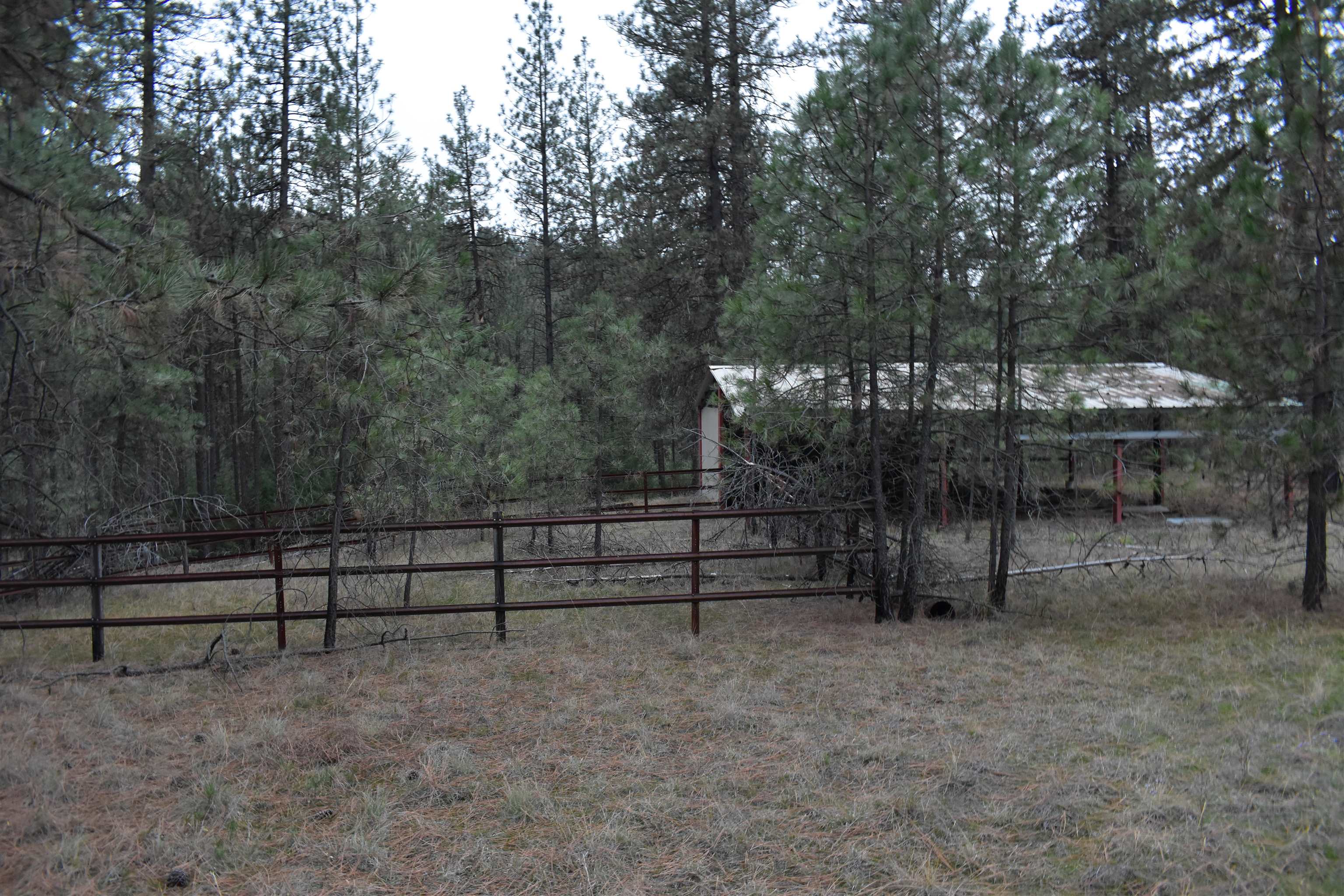4802 North Garfield Road Spokane, WA 99224 - Photo 13 of 34