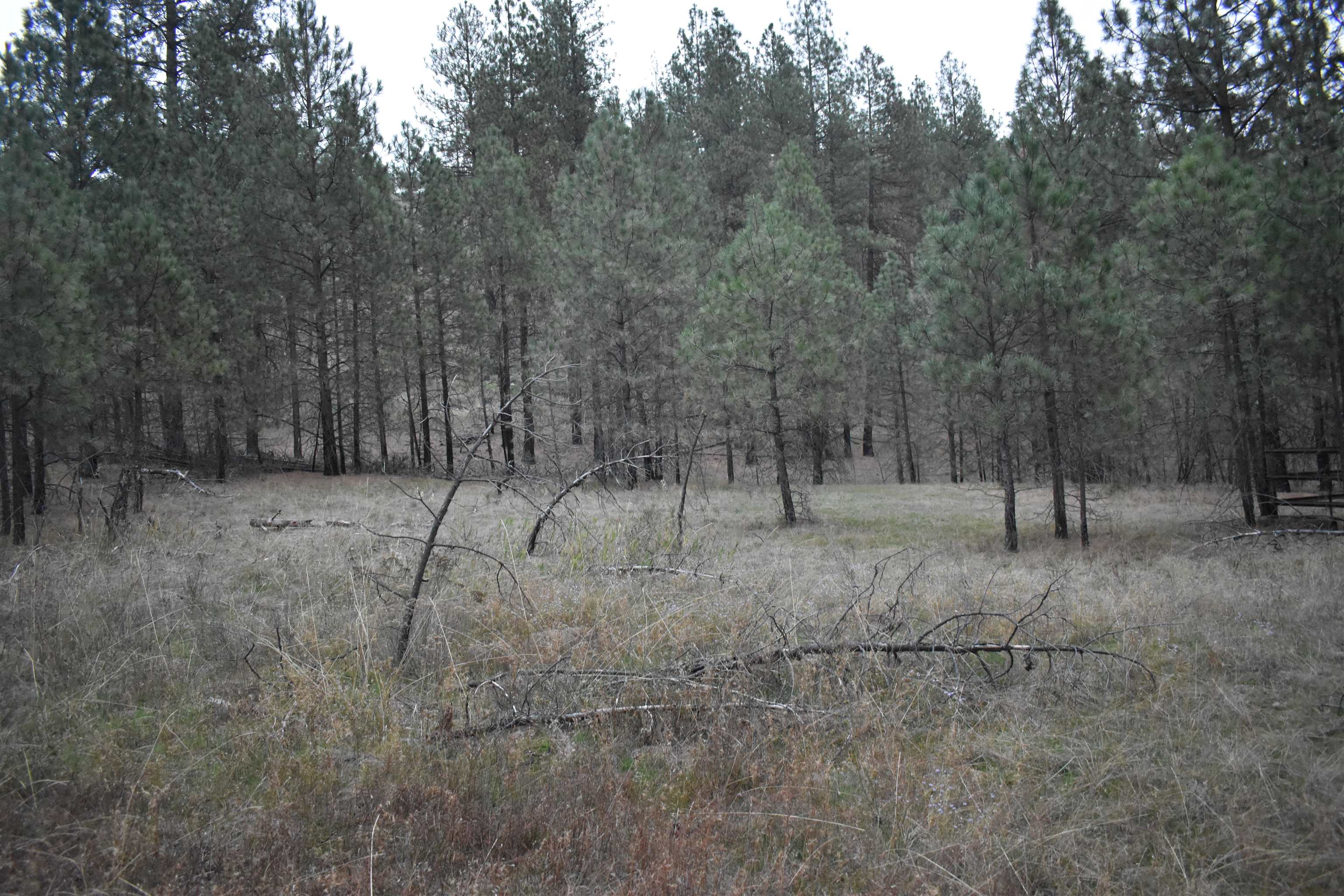 4802 North Garfield Road Spokane, WA 99224 - Photo 17 of 34