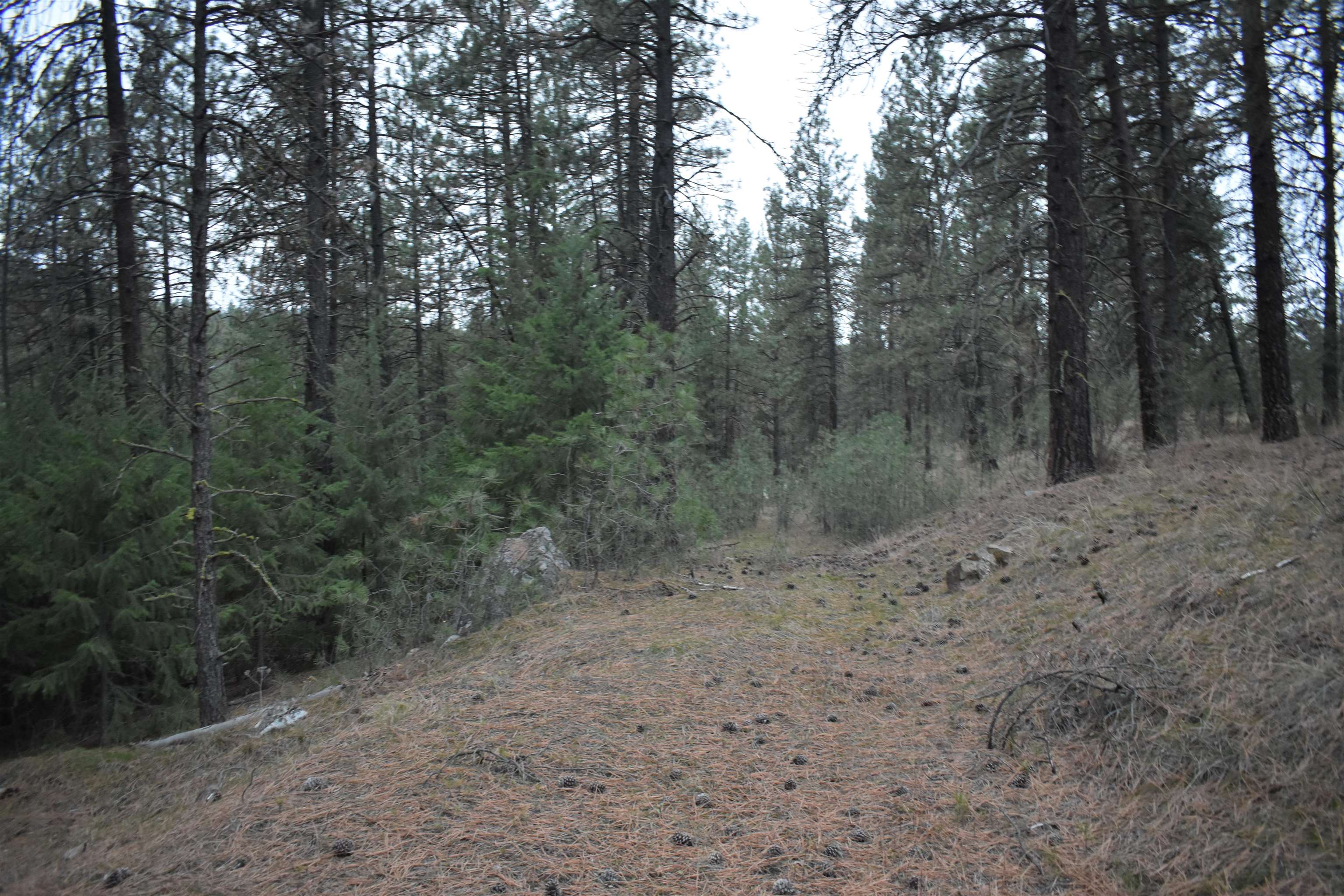 4802 North Garfield Road Spokane, WA 99224 - Photo 21 of 34