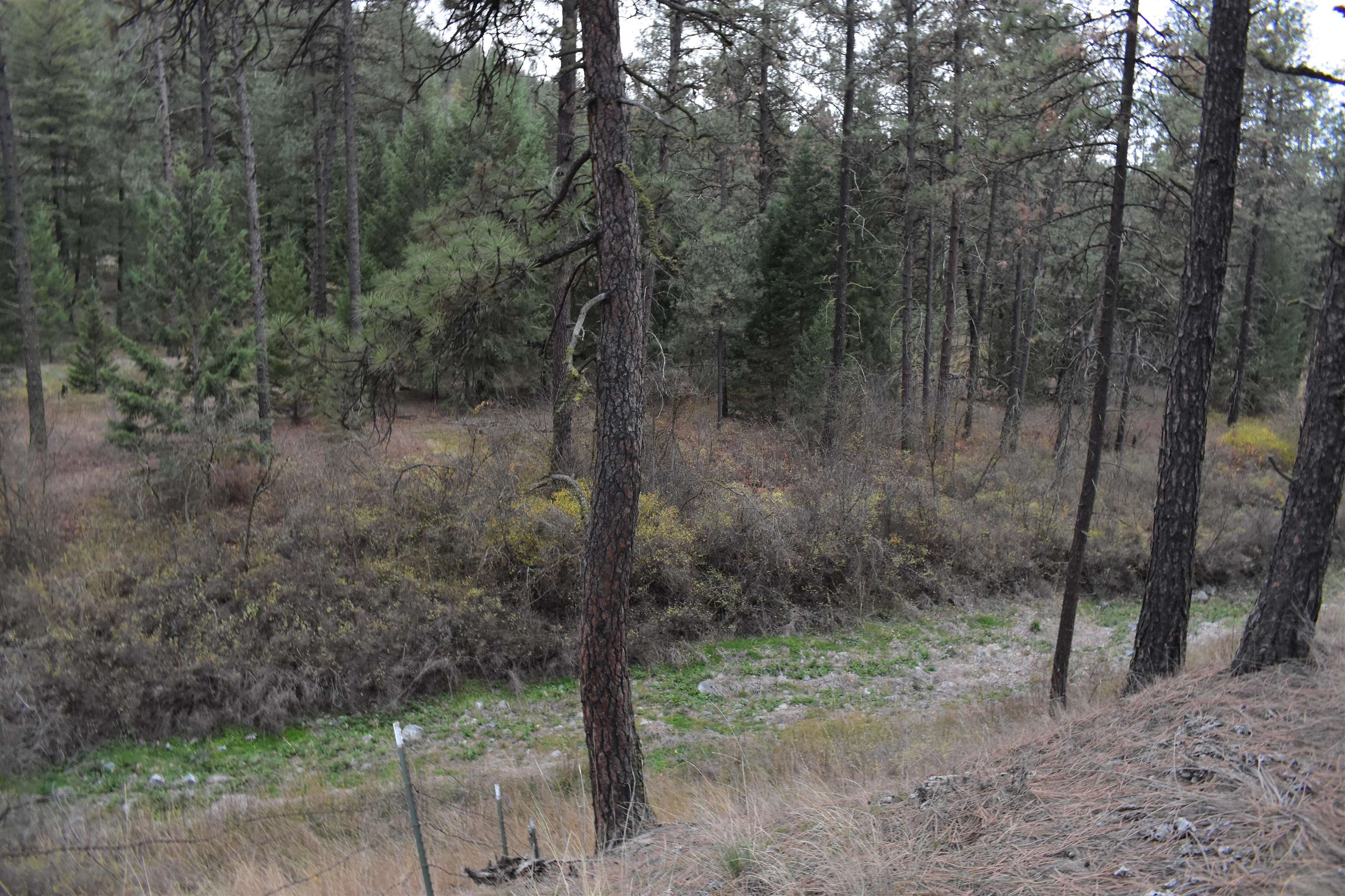 4802 North Garfield Road Spokane, WA 99224 - Photo 28 of 34