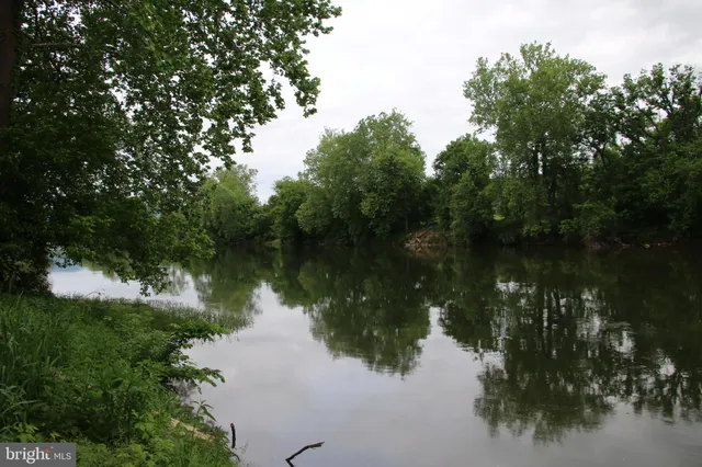 a view of a bunch of flowers