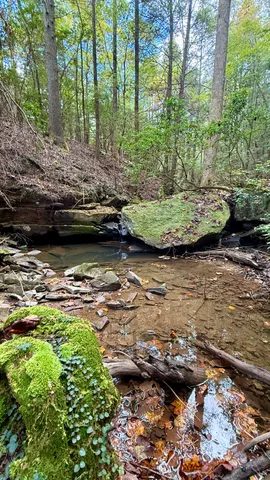 $600,000 | 0 Braden Lane, Coalmont, TN 37313