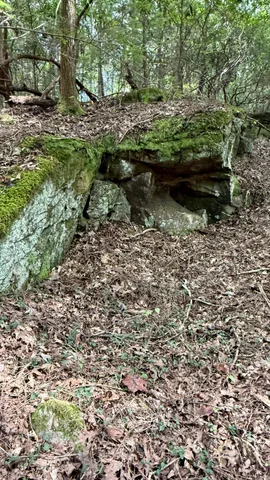 $600,000 | 0 Braden Lane, Coalmont, TN 37313