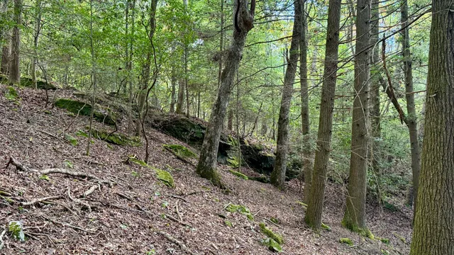 $600,000 | 0 Braden Lane, Coalmont, TN 37313