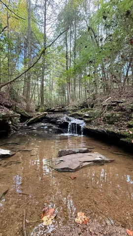 $600,000 | 0 Braden Lane, Coalmont, TN 37313