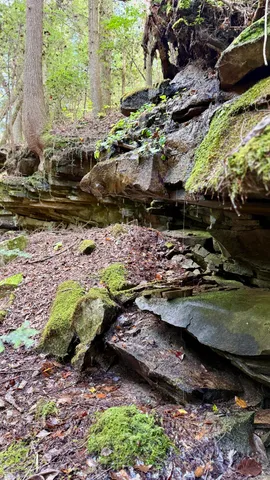 $600,000 | 0 Braden Lane, Coalmont, TN 37313