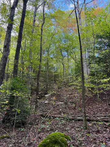 $600,000 | 0 Braden Lane, Coalmont, TN 37313