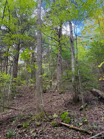 $600,000 | 0 Braden Lane, Coalmont, TN 37313