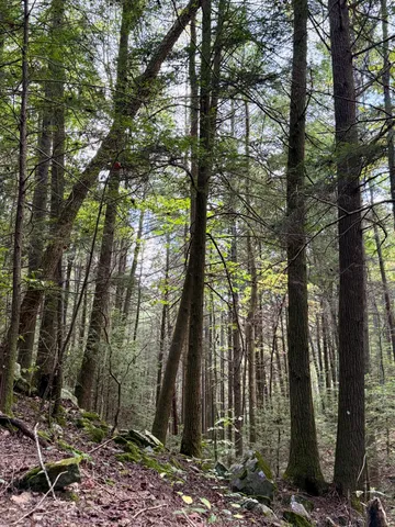 $600,000 | 0 Braden Lane, Coalmont, TN 37313