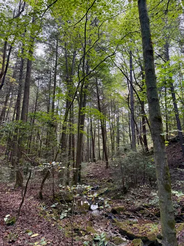 $600,000 | 0 Braden Lane, Coalmont, TN 37313