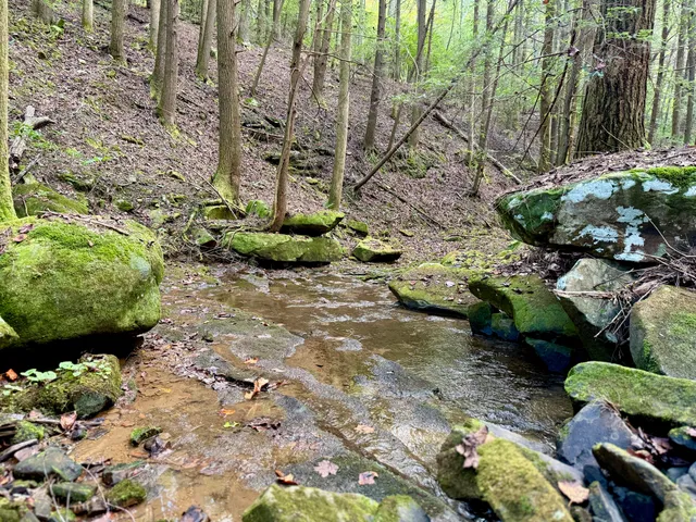 $600,000 | 0 Braden Lane, Coalmont, TN 37313