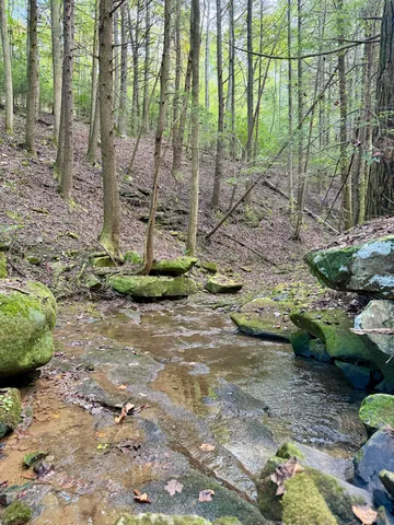 $600,000 | 0 Braden Lane, Coalmont, TN 37313