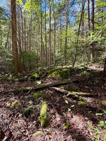 $600,000 | 0 Braden Lane, Coalmont, TN 37313