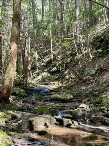 $600,000 | 0 Braden Lane, Coalmont, TN 37313