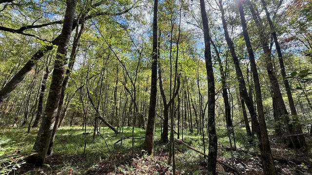 $600,000 | 0 Braden Lane, Coalmont, TN 37313
