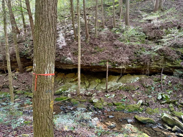 $600,000 | 0 Braden Lane, Coalmont, TN 37313