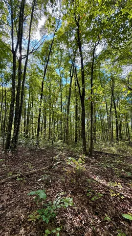 $600,000 | 0 Braden Lane, Coalmont, TN 37313