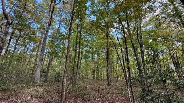 $600,000 | 0 Braden Lane, Coalmont, TN 37313