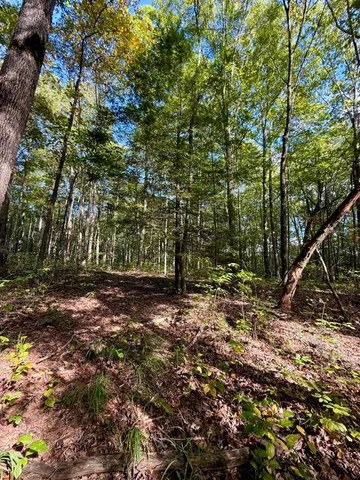 $600,000 | 0 Braden Lane, Coalmont, TN 37313