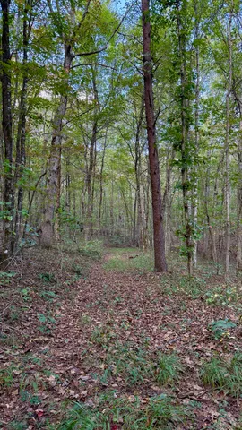 $600,000 | 0 Braden Lane, Coalmont, TN 37313