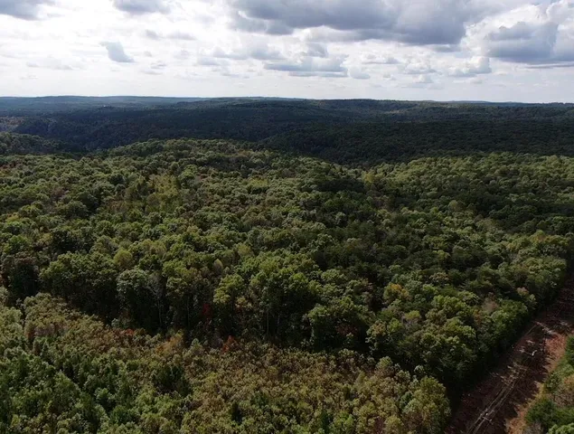 $600,000 | 0 Braden Lane, Coalmont, TN 37313