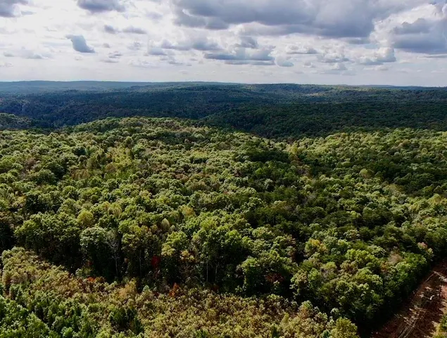 $600,000 | 0 Braden Lane, Coalmont, TN 37313