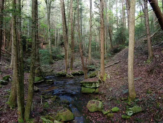 $600,000 | 0 Braden Lane, Coalmont, TN 37313