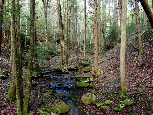 $600,000 | 0 Braden Lane, Coalmont, TN 37313