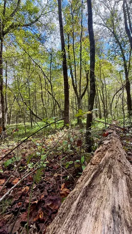 $600,000 | 0 Braden Lane, Coalmont, TN 37313